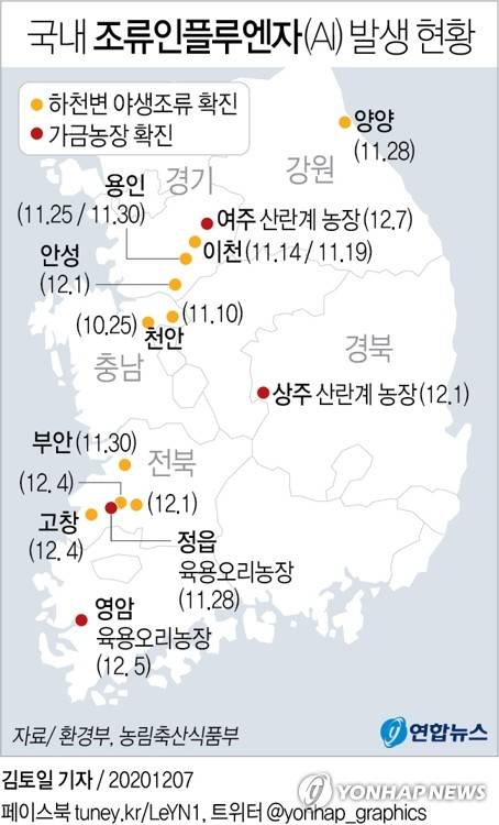 [그래픽] 국내 조류인플루엔자(AI) 발생 현황 (서울=연합뉴스) 장예진 기자 = jin34@yna.co.kr