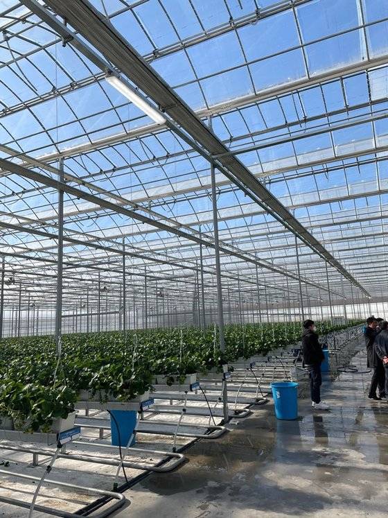 의성군에 있는 스마트팜 교육장. 많은 기관 직원들이 견학을 온다. 김윤호 기자