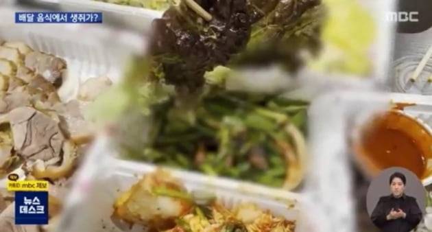 /사진=MBC 뉴스데스크 캡쳐