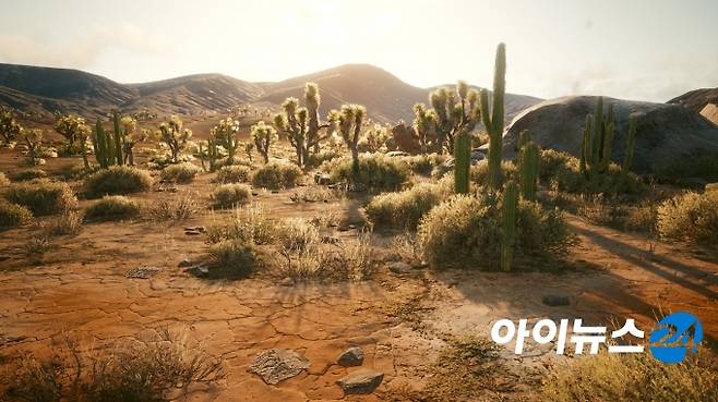 중간 옵션으로 설정한 '나이트 시티' 밖 황무지의 모습.