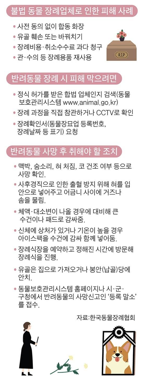 그래픽=이정권 기자 gaga@joongang.co.kr