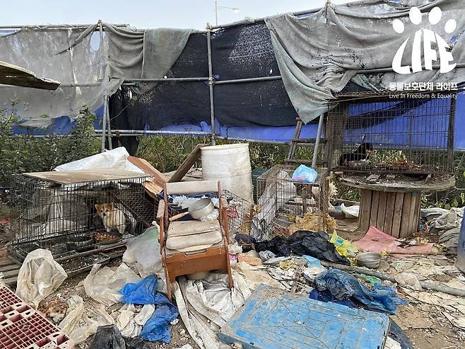 쓰레기 더미에서 좁디 좁은 뜬장에 갇힌 강아지