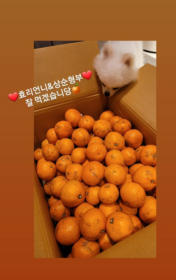 /사진=성유리 인스타그램