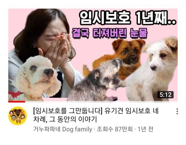 유튜브 '거누파파네' 채널 캡처.