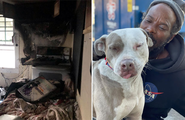 27일(현지시간) CNN은 미국 조지아주 애틀랜타의 한 노숙인이 동물보호소 화재 현장에서 개와 고양이 10여 마리를 구조했다고 보도했다.