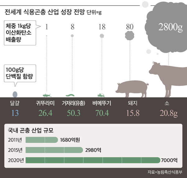 그래픽=김란희