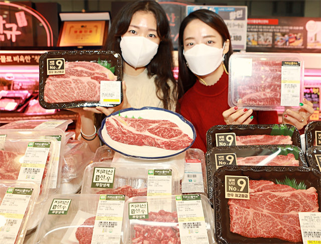 지난해 12월 30일 서울 중구 롯데마트 서울역점에서 모델들이 쇠고기 행사 상품을 소개하고 있다. 롯데쇼핑 제공