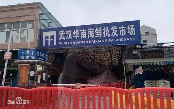 중국 우한의 화난수산시장은 신종 코로나바이러스 감염증 사태 초기 코로나19의 진앙으로 지목됐다. 또, 우한의 실험실에서 바이러스가 유출된 게 아니냐는 의혹이 제기되기도 했다. [중국 바이두 캡처]
