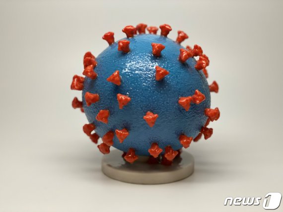 코로나19 바이러스 모형. © 로이터=뉴스1 /사진=뉴스1