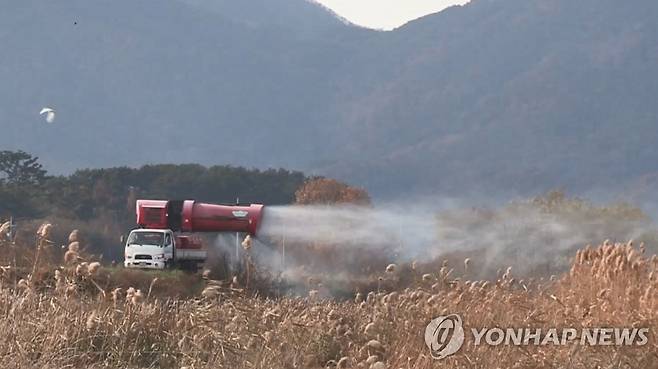 AI 항원 [연합뉴스TV 제공]