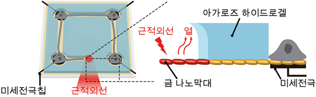 나노 광열 신경 칩 플랫폼 모식도.(자료=한국과학기술원)