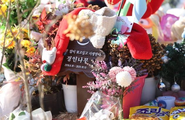 6일 경기 양평 하이패밀리 안데르센 공원묘지에 안장된 정인 양의 묘지에 추모객들이 놓고 간 편지와 선물이 놓여 있다. 연합뉴스