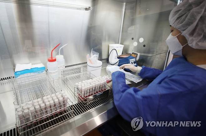 씨젠의 병리센터 (서울=연합뉴스) 김승두 기자 = 6일 오후 서울 성동구 코로나19 검사수탁기관인 씨젠의료재단의 병리센터에서 직원들이 코로나19 진단검사 관련 업무를 하고 있다. 2021.1.6 kimsdoo@yna.co.kr