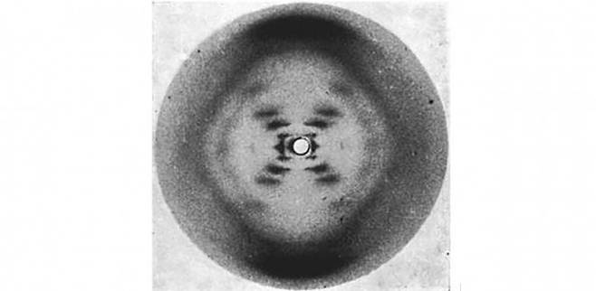 DNA 이중나선 구조에 엑스선을 쪼이면 아래 사진 속 무늬가 나타난다. 동아사이언스DB