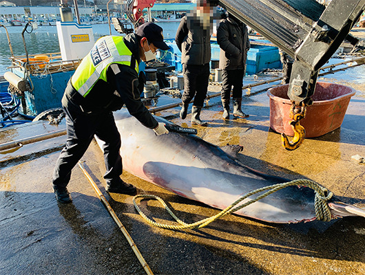 [Photo provided by Sokcho Coast Guard]