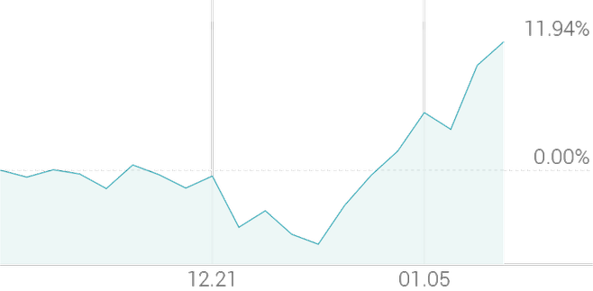1개월 등락률 +11.94%