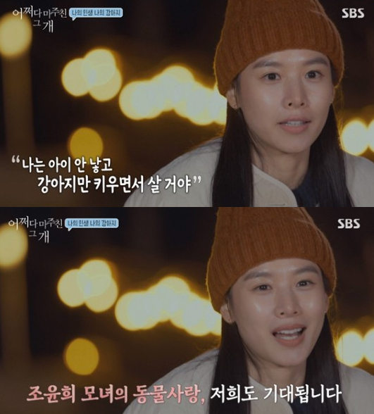 '어쩌개' 조윤희가 딸을 언급했다. SBS 방송캡처