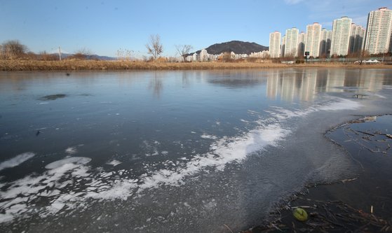 지난 7일 오후 부산 북구 낙동강 지류가 한파로 얼어 붙어 있다. 뉴스1