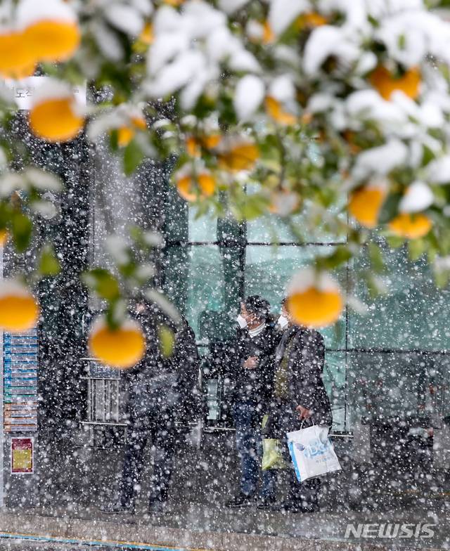 [제주=뉴시스]우장호 기자 = 북극발 한파가 사흘째 기승을 부리고 있는 8일 제주국제공항에 굵은 눈발이 날리고 있다. 2021.01.08. woo1223@newsis.com