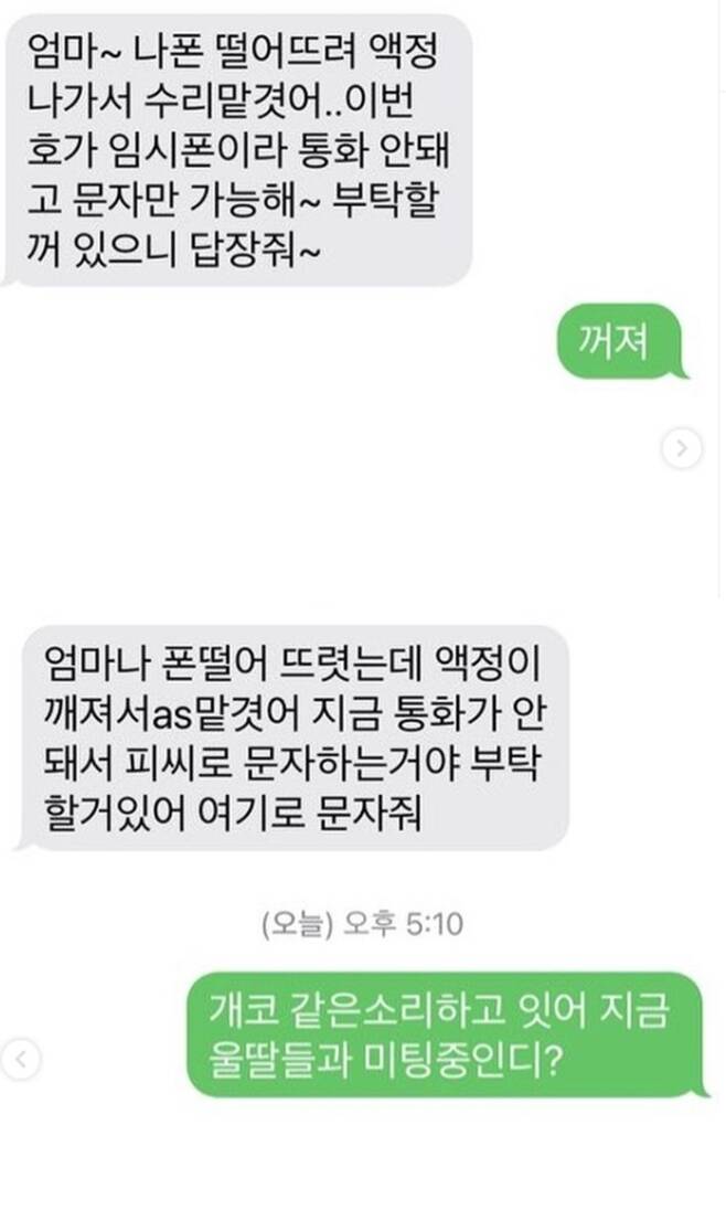 배우 권민아가 공개한 모친과 사기범의 대화내용. / 사진=권민아 인스타 그램