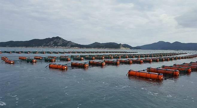 전복 양식장. 전남도 제공