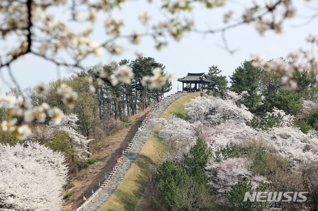 밀양 읍성 성곽