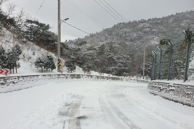 폭설이 내린 흑산도 일주도로. 신안군제공