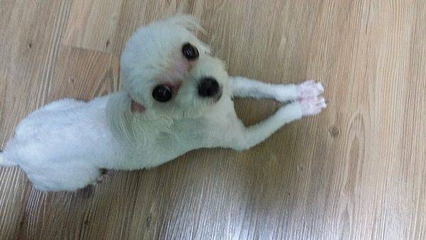 2013년 퇴원 당시 경태 모습