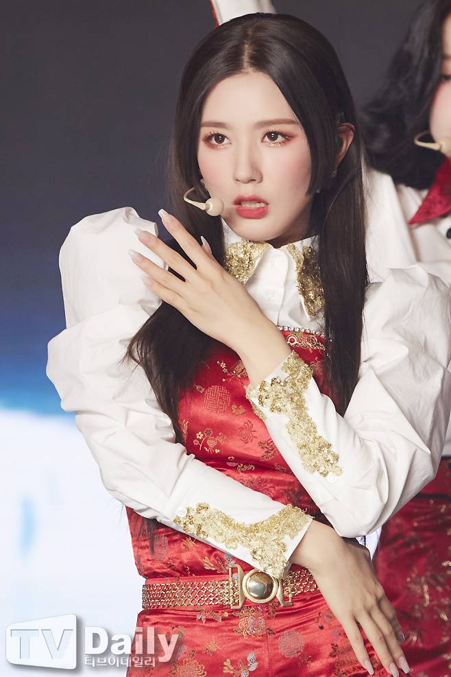 티브이데일리 포토