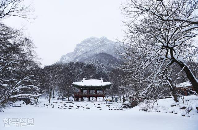 백양사의 상징적인 건물은 두 개천 사이에 세운 쌍계루다. 우람한 백학봉이 수면에 비치는 모습이 일품인데, 강추위에 개천이 얼어 하얀 눈만 쌓였다.