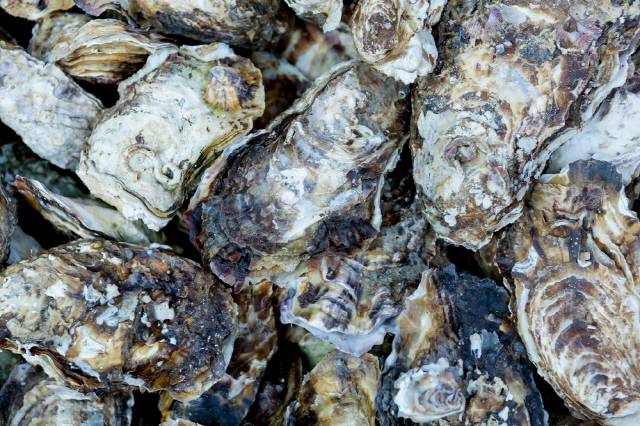 굴은 '희대의 사랑꾼'으로 불린 카사노바가 즐겨 먹은 음식이다./사진=클립아트코리아