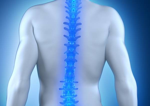 30분 이상 앉아 있으면 척추 디스크 압력이 올라가 디스크 마모가 시작된다./사진=게티이미지뱅크