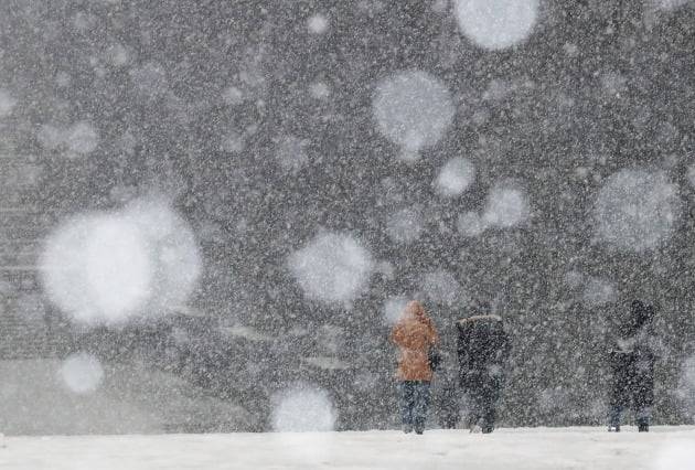 12일 오후 서울 서대문구 이화여자대학교 교정에 눈이 내리고 있다. 2021.1.12 [사진=연합뉴스]
