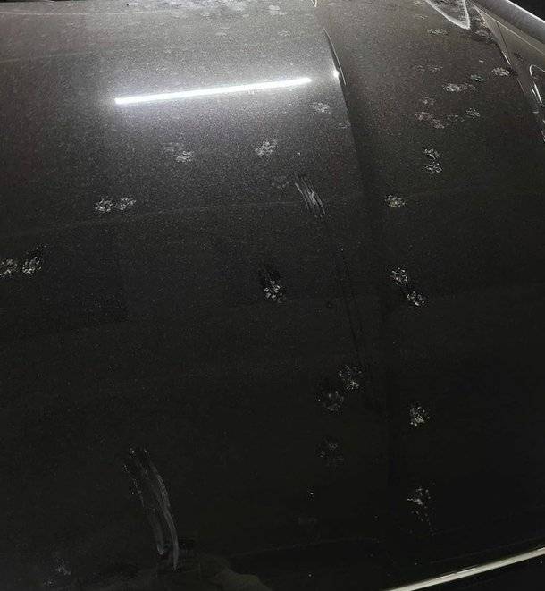 허경환 인스타그램