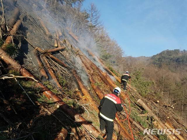 (사진=뉴시스DB)