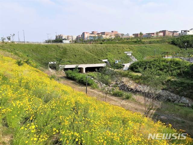 [울산=뉴시스] 조현철 기자 = 약사동제방유적 전시관 전경. 2021.01.12. (사진=울산박물관 제공) photo@newsis.com