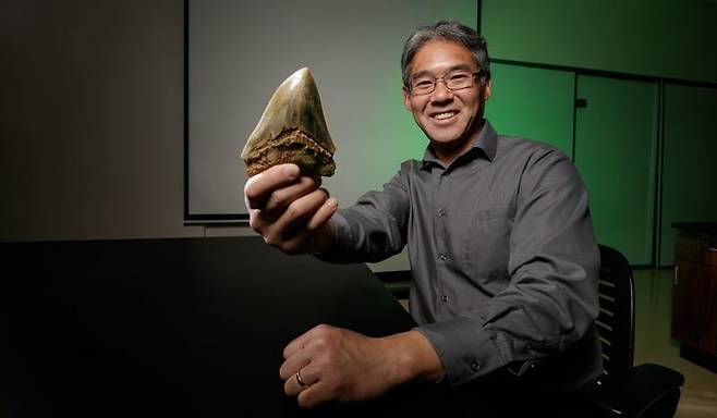 메갈로돈 전문가인 시마다 겐슈 교수가 메갈로돈의 이빨 화석을 손에 들고 있다.(사진=제프 케리온/드폴대)