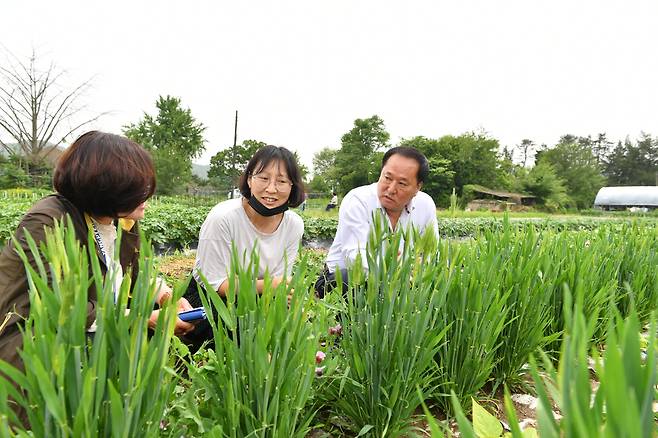 정동균(오른쪽) 양평군수가 토동 씨앗 시험재배 현장을 찾아 관계자들과 대화를 나누고 있다. 양평군 제공