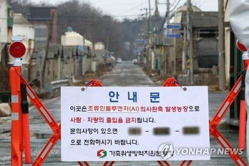 [연합뉴스 자료사진]