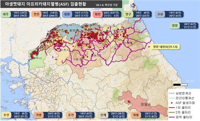 야생멧돼지 아프리카돼지열병 발생 세부현황. © 뉴스1