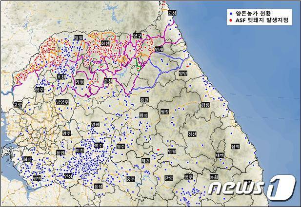 야생멧돼지 ASF 발생상황. © 뉴스1