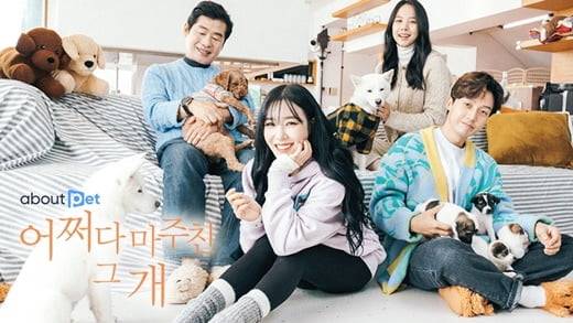 '어쩌다 마주친 그 개'(사진=SBS)