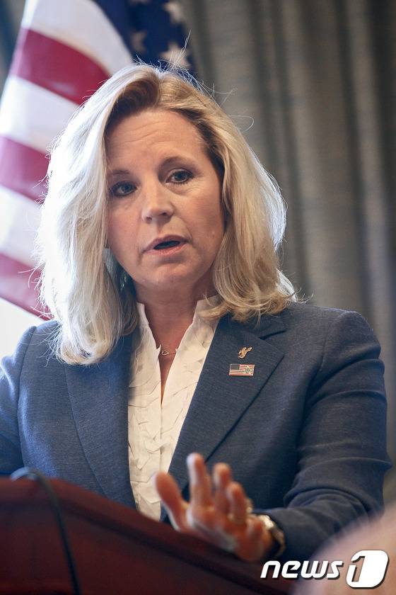 딕 체니 전 미국 부통령의 딸 리즈 체니.© AFP=News1