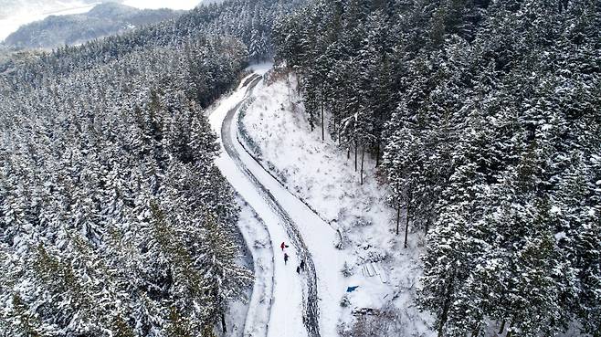 지난 1일 설국으로 변한 전남 장성군 축령산에서 한 가족이 눈썰매를 즐기고 있다./김영근 기자