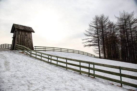목책을 따라 산책을 즐길 수 있는 대관령 양떼목장. 사진=조용철 기자