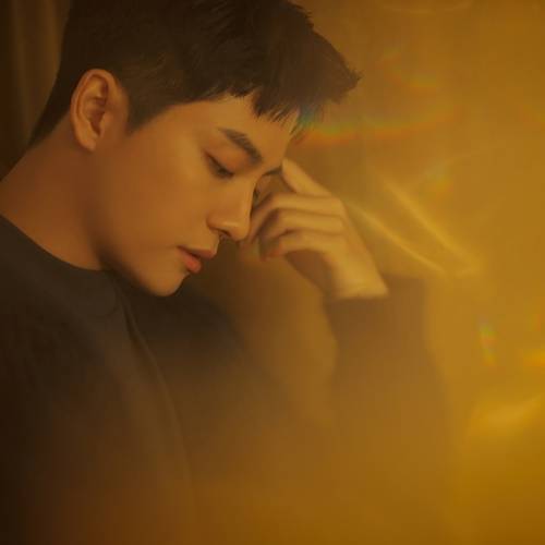 사진=포켓돌스튜디오