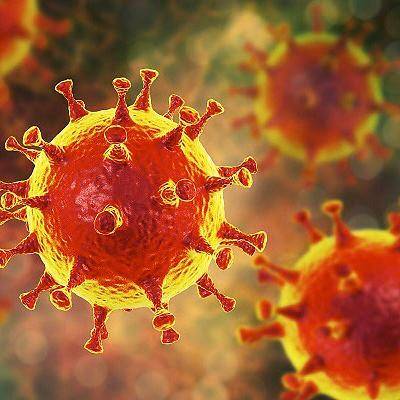 코로나19 바이러스.[헤럴드경제DB]