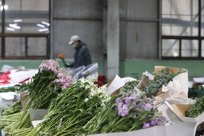 15일 부산 강서구 부경원예농협 경제사업장. [촬영 박성제]