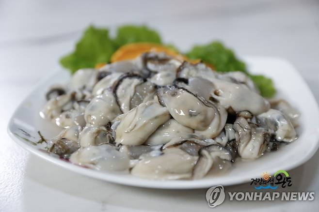 완도 굴 [완도군 제공·재판매 및 DB 금지]