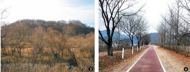 ③ 우두벌(평야)에서 바라본 우두산. 평범한 야산처럼 보이지만 역사적 내력이 깊은 산이다. ④ 하중도 생태공원으로 이어지는 중도 둘레길.